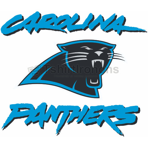 Carolina Panthers T-shirts Iron On Transfers N443